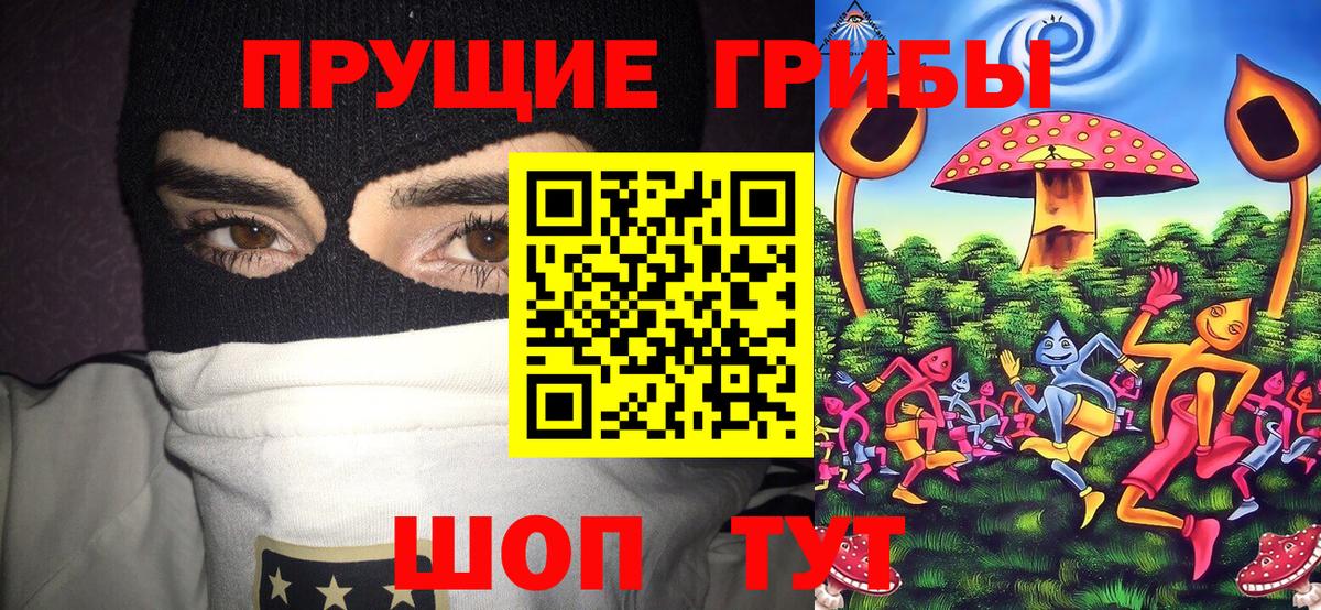 Псилоцибиновые грибы Magic Shrooms Печора